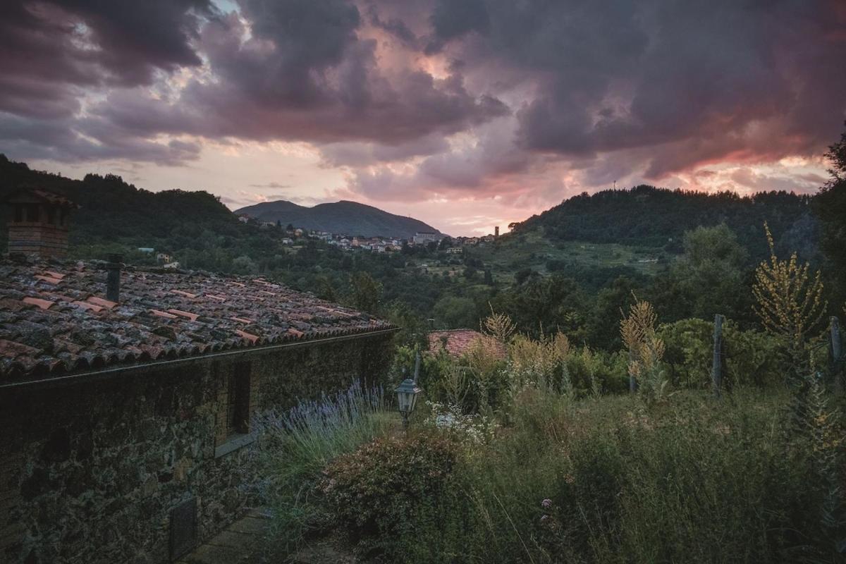 Borgo Del Sole Agriturismo Poggio エクステリア 写真