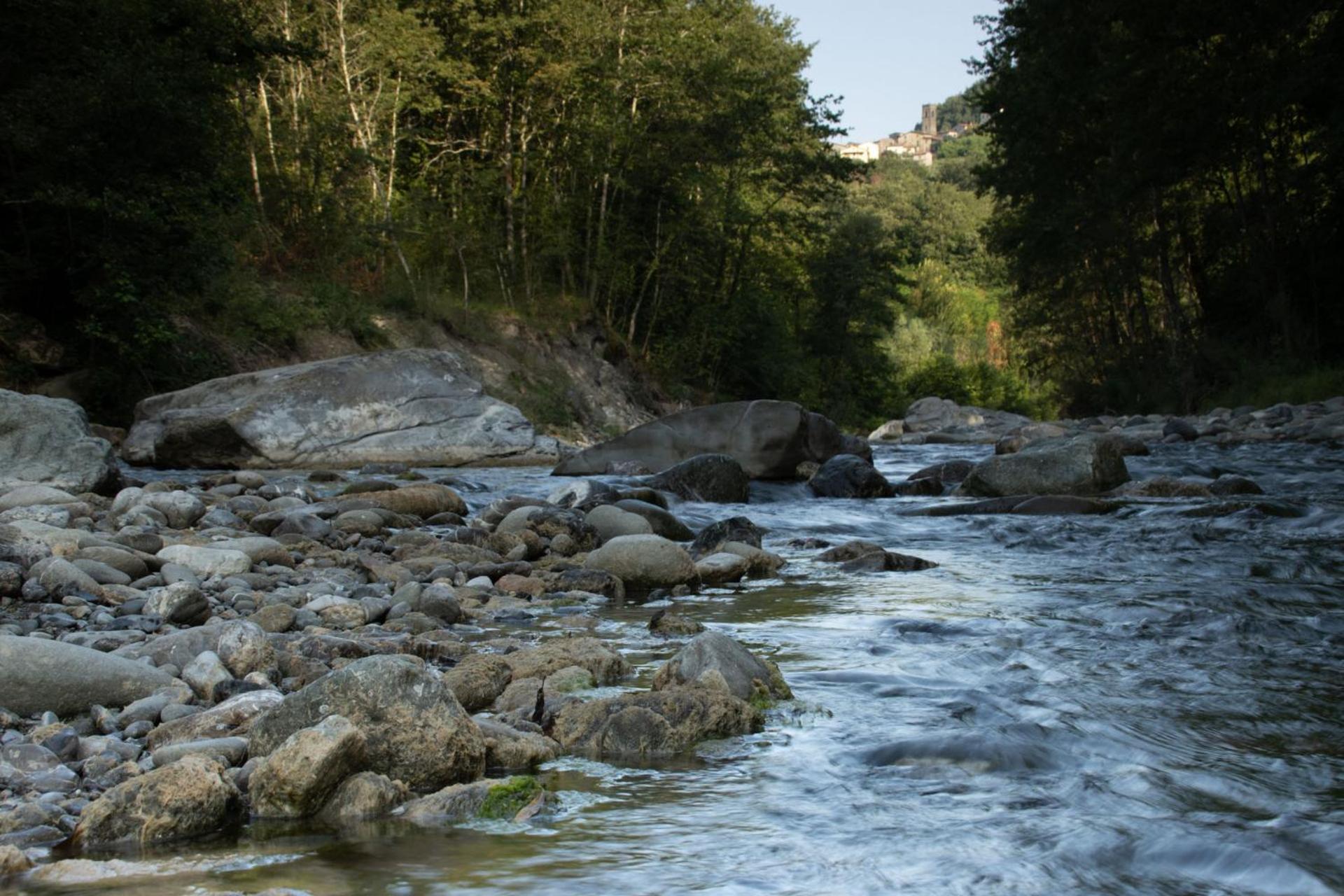 Borgo Del Sole Agriturismo Poggio エクステリア 写真